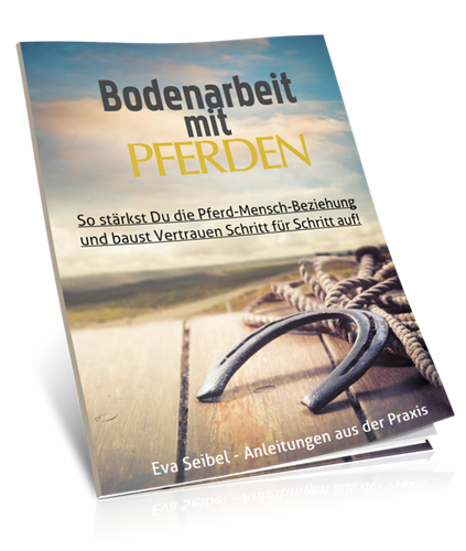 TFH-Bodenarbeits-Workbook