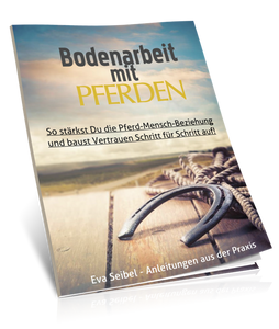 TFH-Bodenarbeits-Workbook